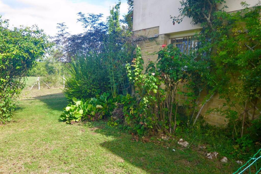 Les Petits Self Contained 2 Bedroom Apartment Molieres (Dordogne) Buitenkant foto